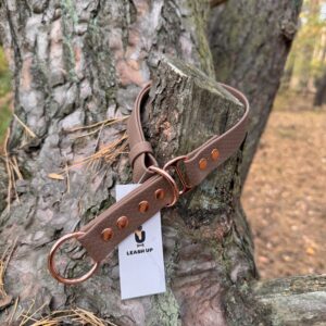Obroża półzaciskowa HEXA – Brownie