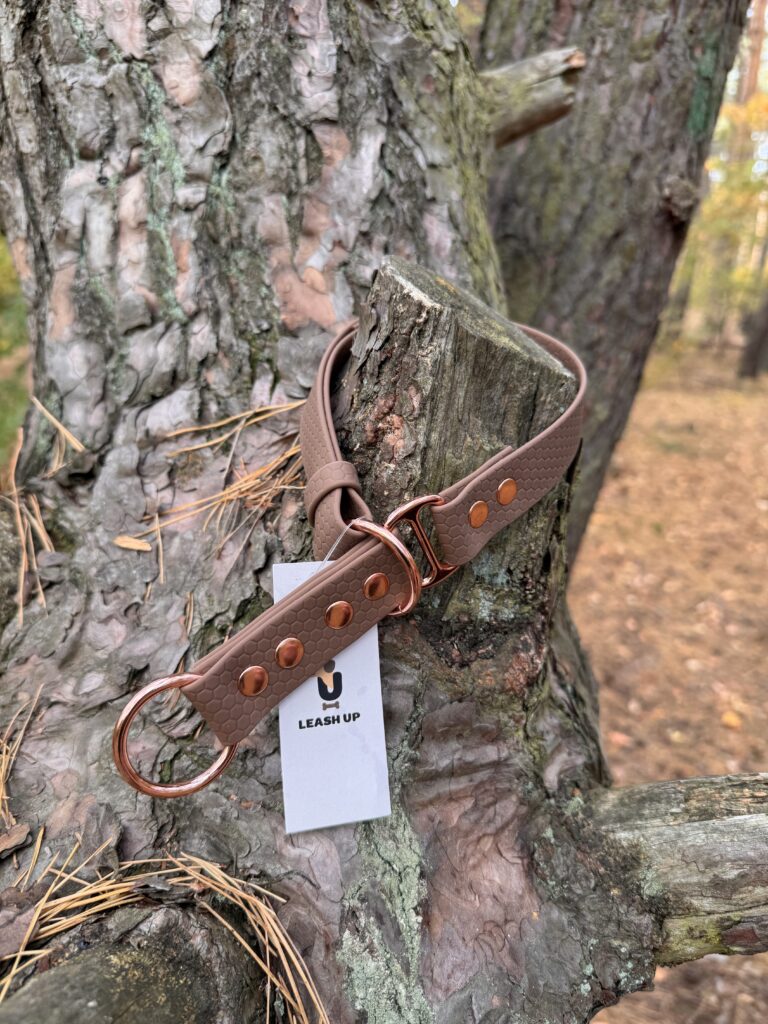 Obroża półzaciskowa HEXA – Brownie