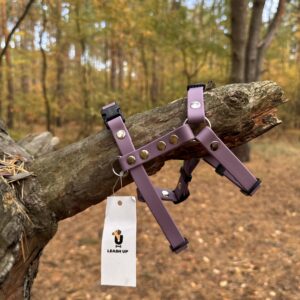 Szelki Guard BioThane® – Orchid