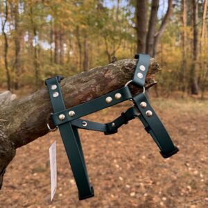 Szelki Guard BioThane® – Emerald