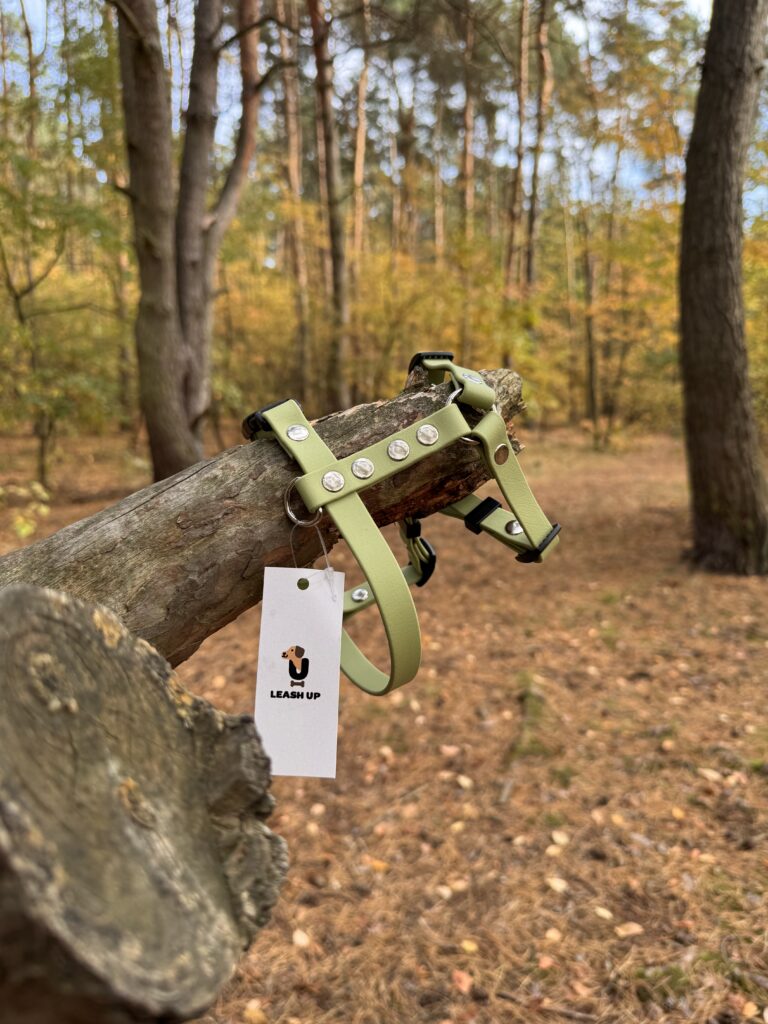 Szelki Guard BioThane® – Guacamole