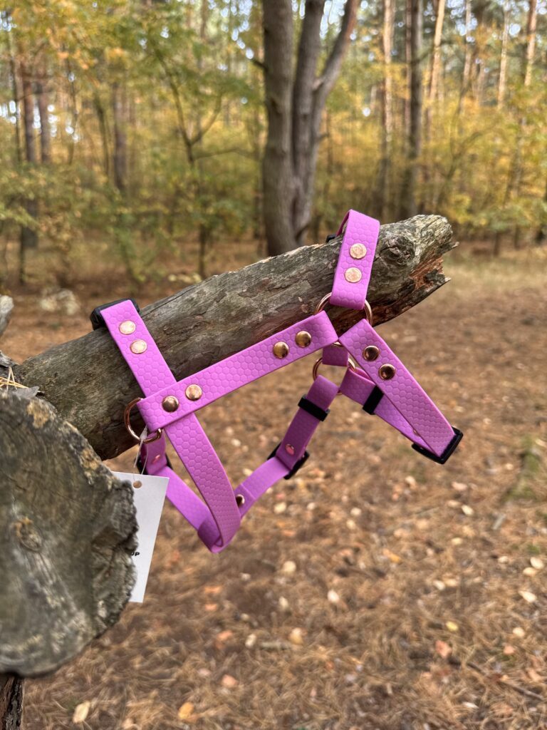 Szelki Guard HEXA – Lilac