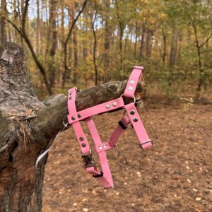 Szelki Guard BioThane® – Raspberry