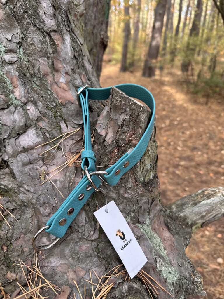 Obroża półzaciskowa HEXA – Forest