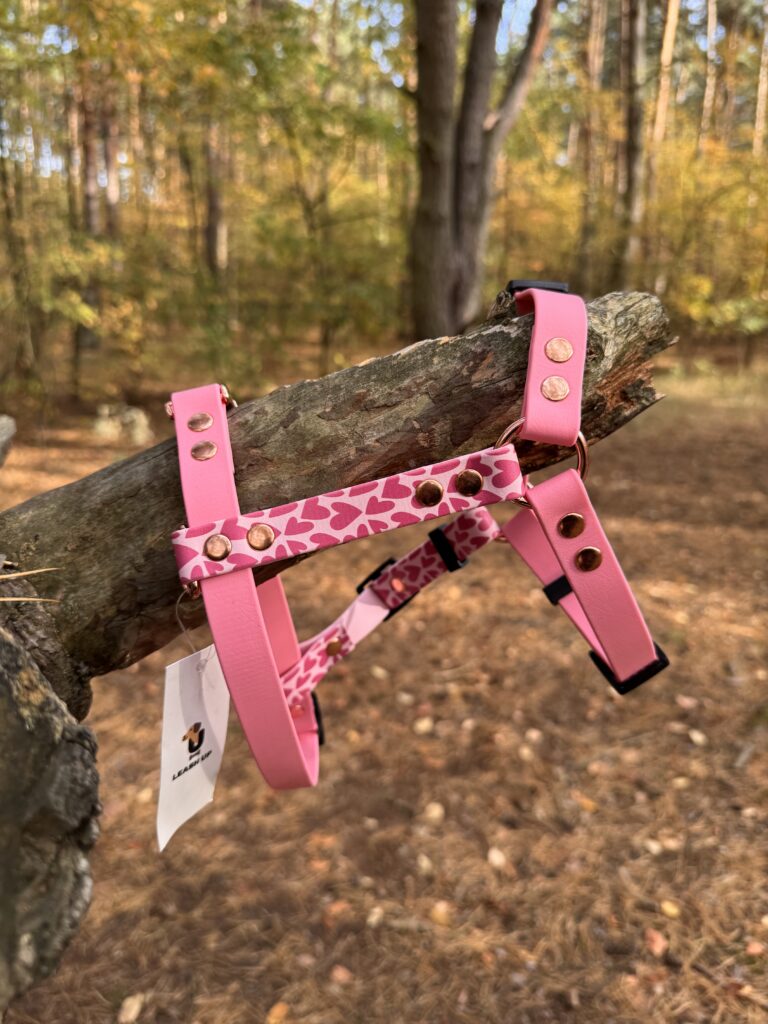 Szelki Guard BioThane® Be My Valentine