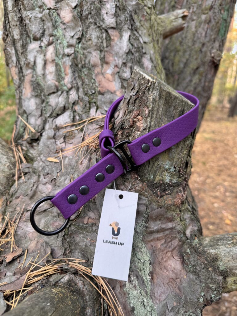 Obroża półzaciskowa HEXA – Plum
