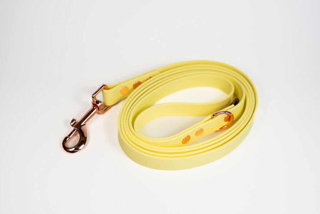 Linka treningowa BioThane® – Lemonade