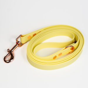 Linka treningowa BioThane® – Lemonade