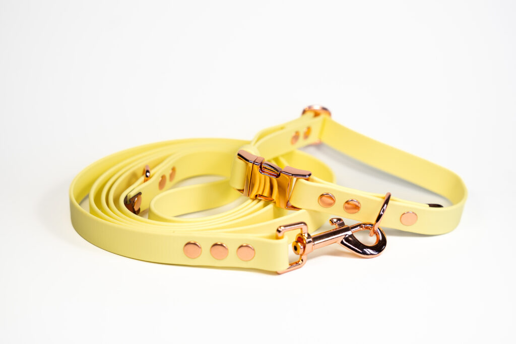 Linka treningowa BioThane® – Lemonade