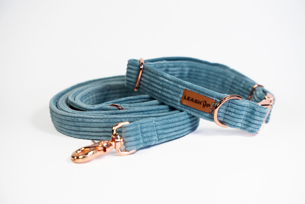 Smycz miejska sztruksowa – Baby Blue