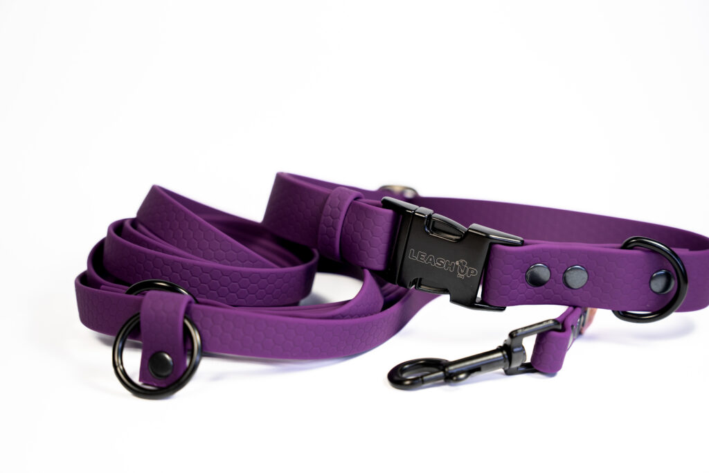 Smycz przepinana HEXA – Plum