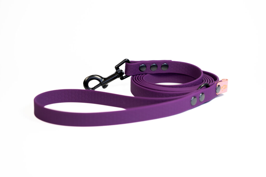 Linka treningowa HEXA – Plum