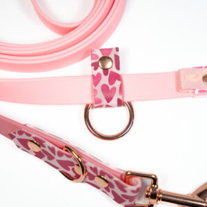 Smycz przepinana BioThane® Be My Valentine