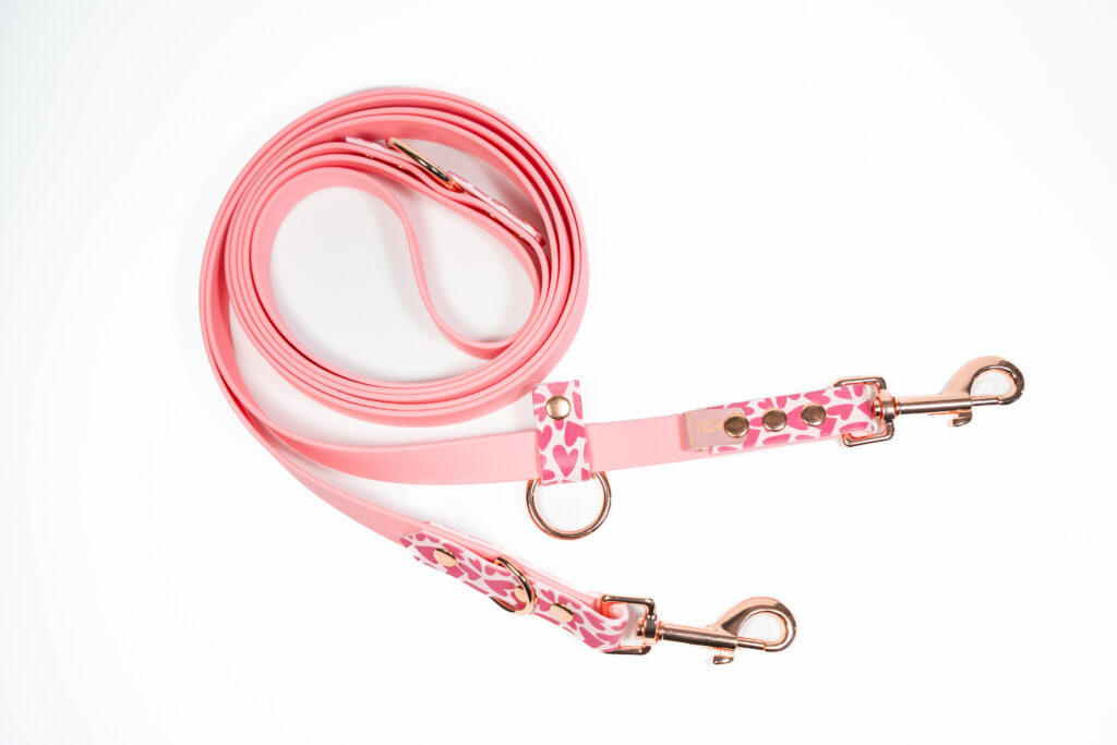 Smycz przepinana BioThane® Be My Valentine