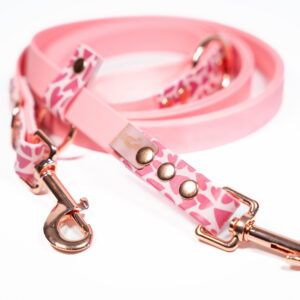 Smycz przepinana BioThane® Be My Valentine