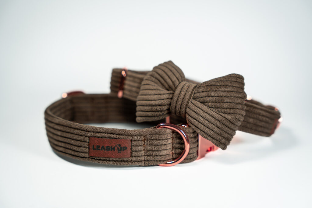 Obroża sztruksowa – Chocolate