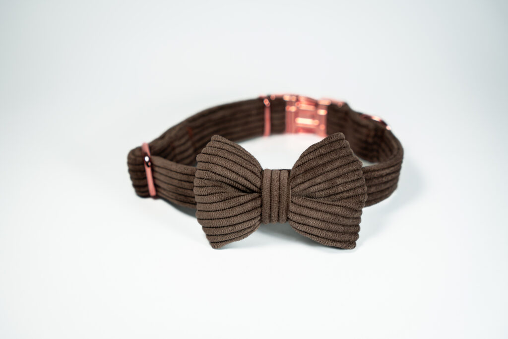 Obroża sztruksowa – Chocolate