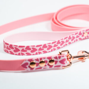 Linka treningowa BioThane® Be My Valentine
