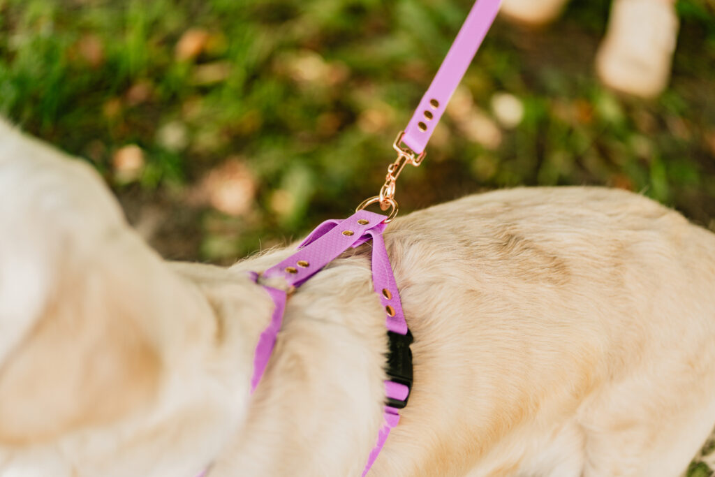 Szelki Guard HEXA – Lilac