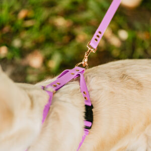 Szelki Guard HEXA – Lilac