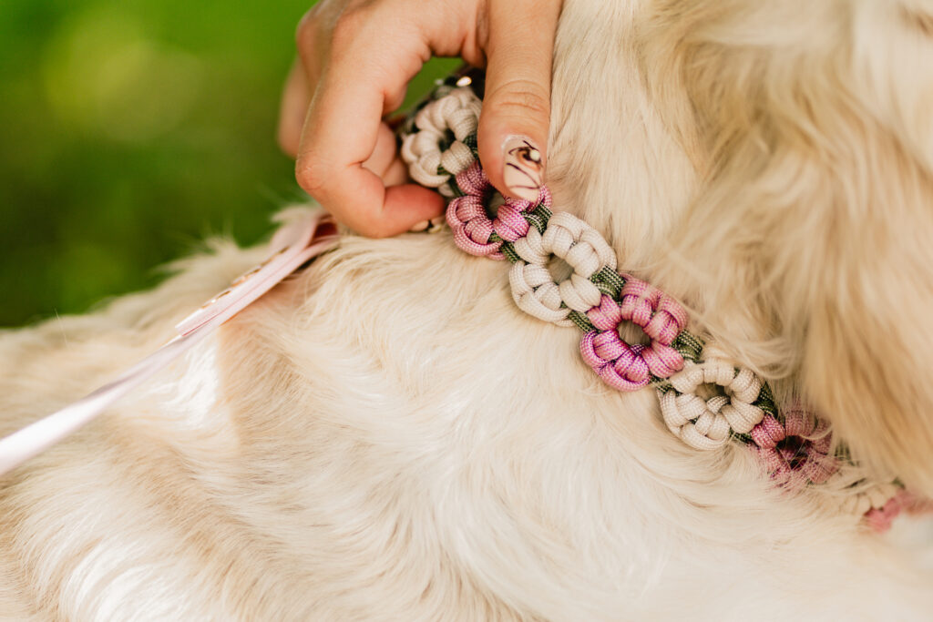 Obroża kwiatowa paracord na sprzączkę BioThane®