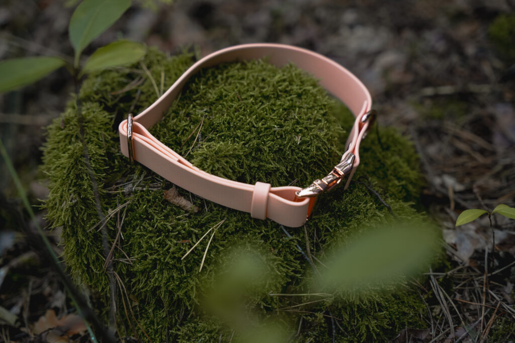 Obroża na klamrę BioThane® – Peach