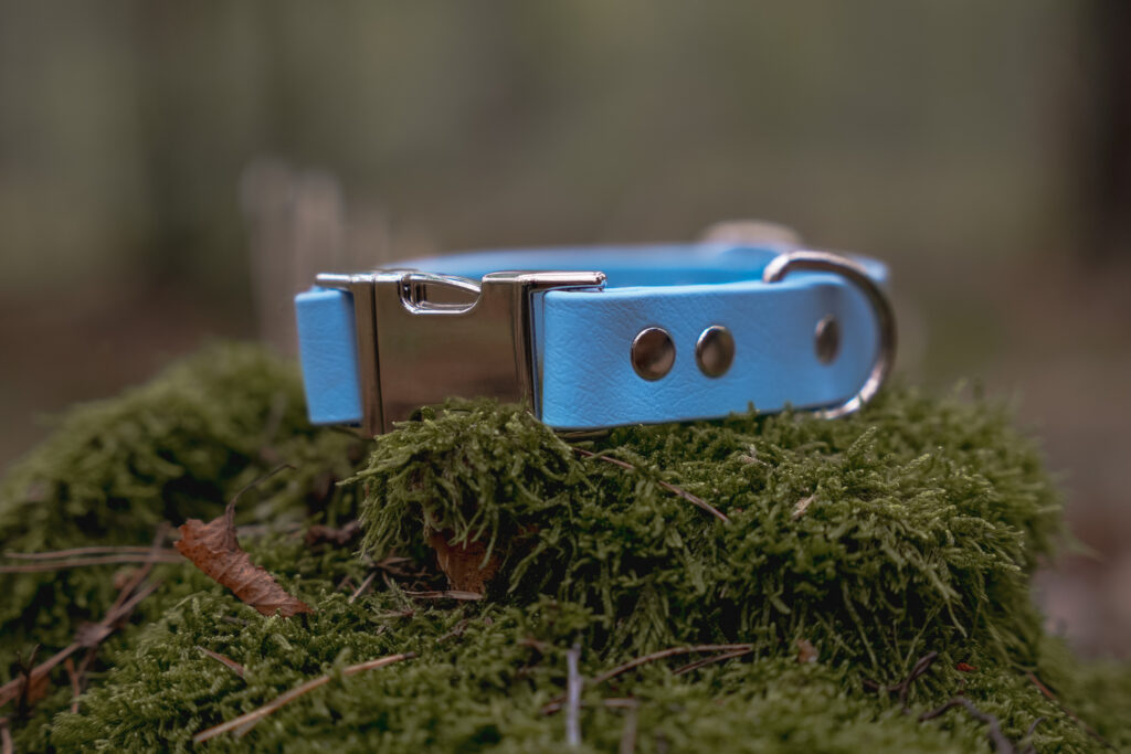 Obroża na klamrę BioThane® – Blue Sky