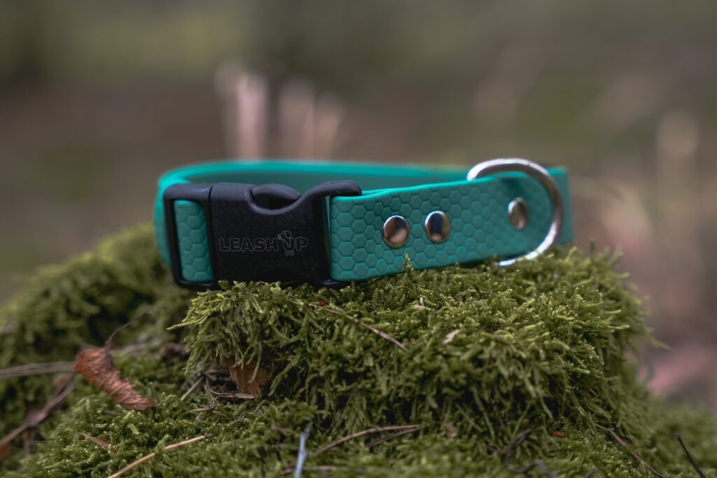 Obroża na klamrę HEXA – Forest