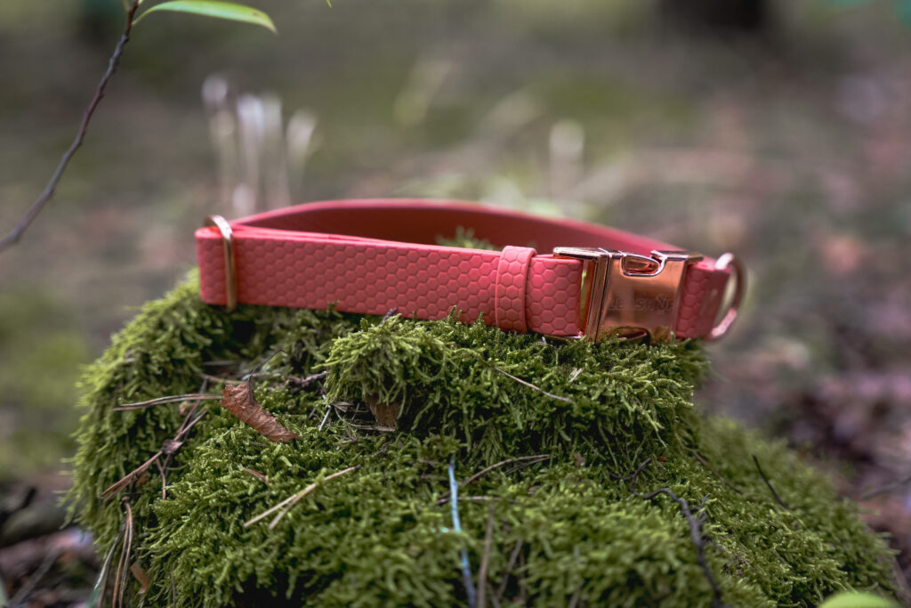 Obroża na klamrę HEXA – Pumpkin