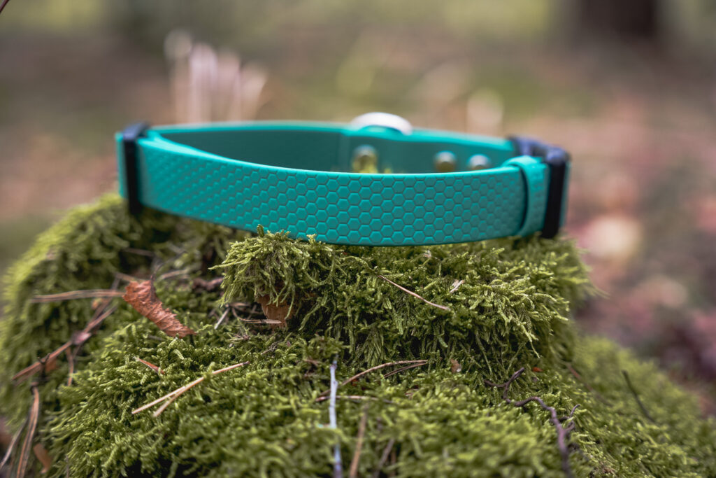 Obroża na klamrę HEXA – Forest