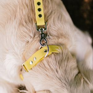 Linka treningowa HEXA – Limoncello