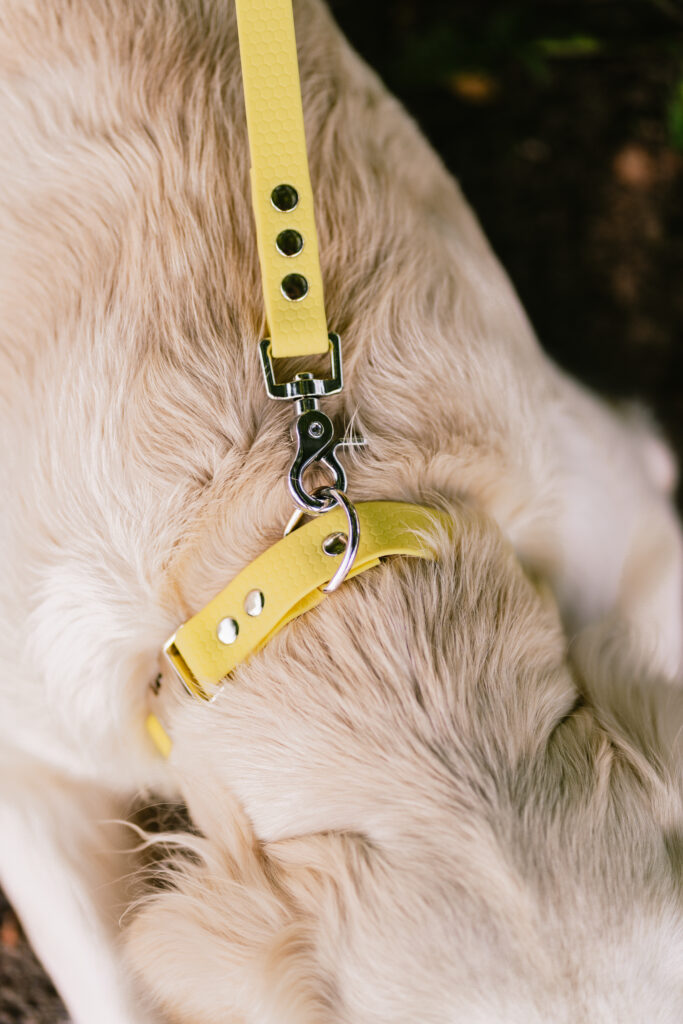 Linka treningowa HEXA – Limoncello