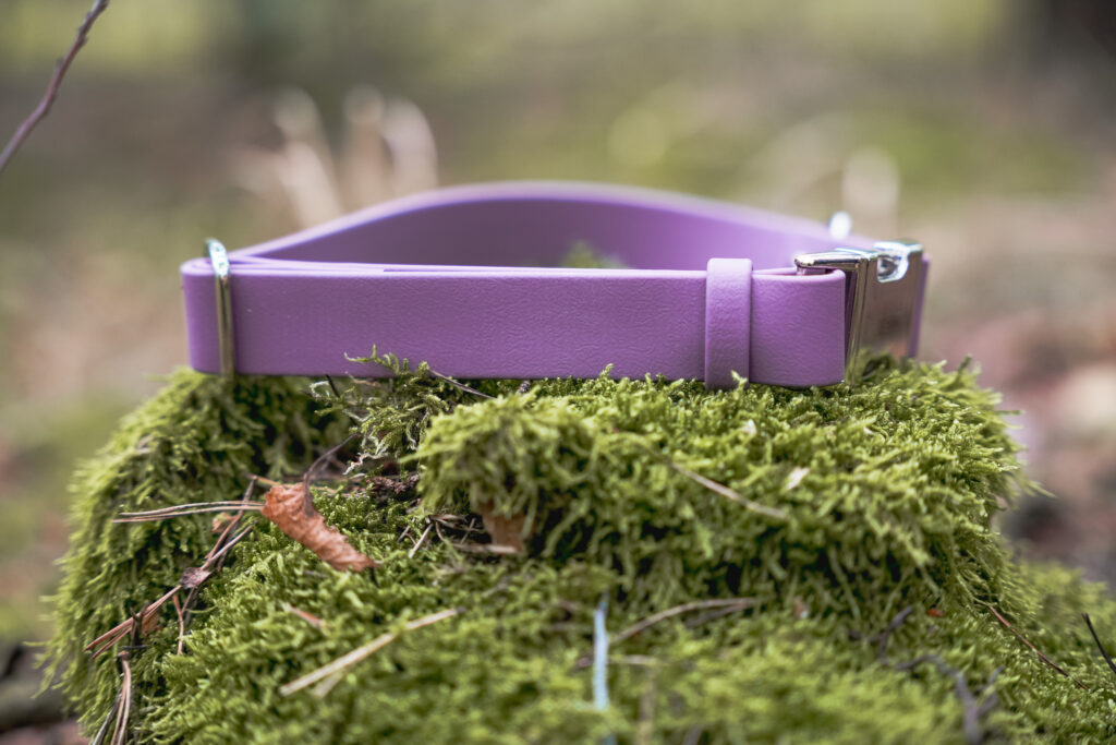 Obroża na klamrę BioThane® – Orchid