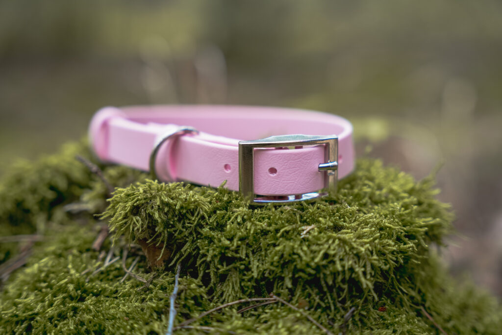Obroża na sprzączkę BioThane® – Blush