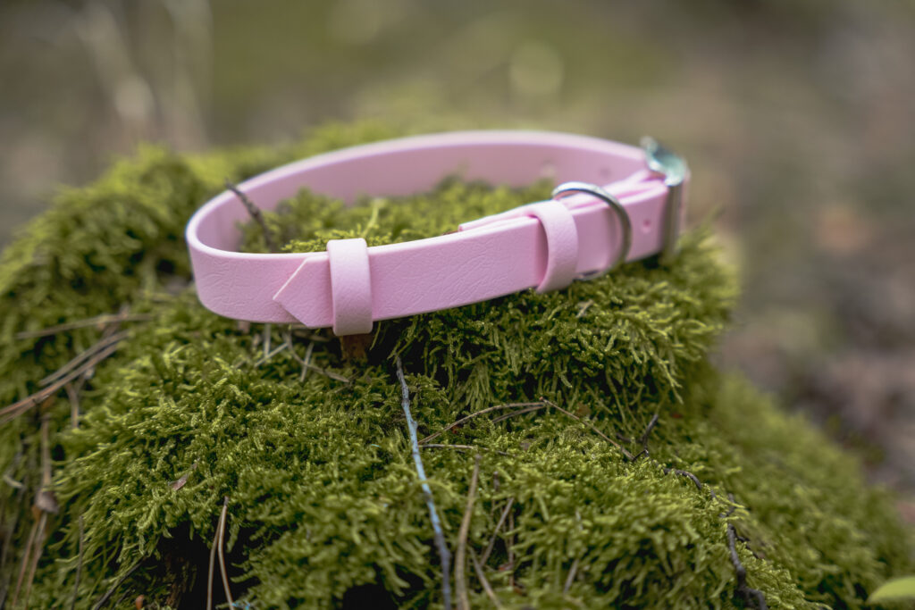 Obroża na sprzączkę BioThane® – Blush