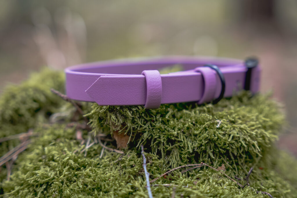 Obroża na sprzączkę BioThane® – Orchid