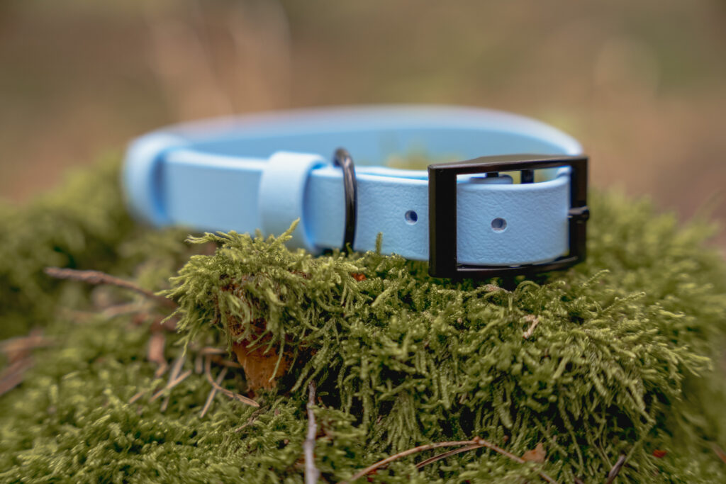 Obroża na sprzączkę BioThane® – Blue Sky