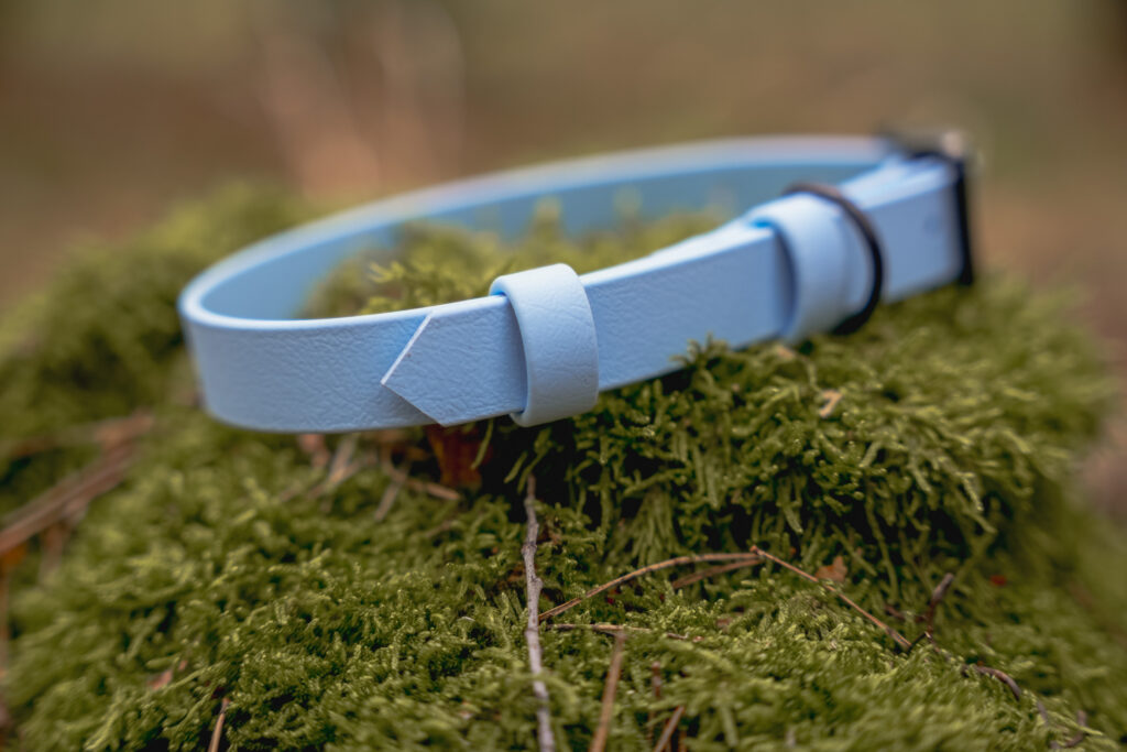 Obroża na sprzączkę BioThane® – Blue Sky