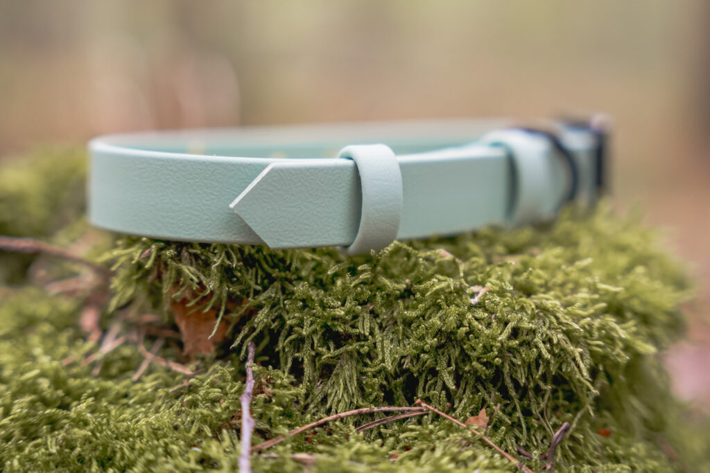 Obroża na sprzączkę BioThane® – Sage