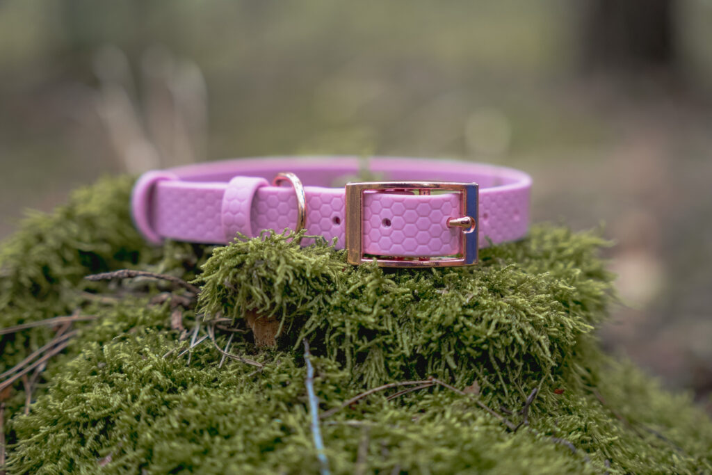 Obroża na sprzączkę HEXA – Lavender
