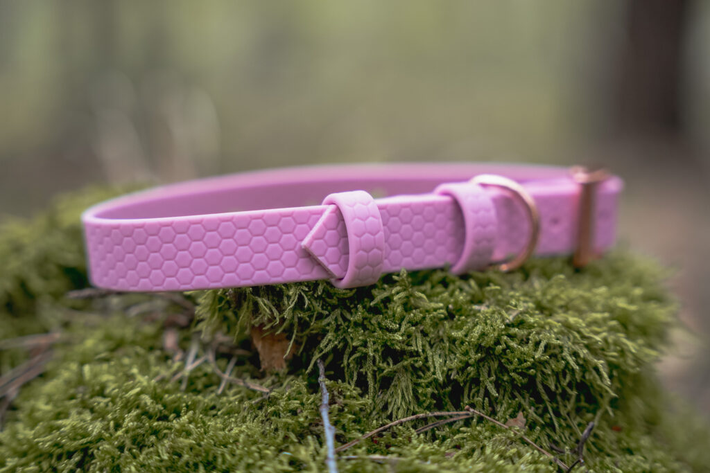 Obroża na sprzączkę HEXA – Lavender