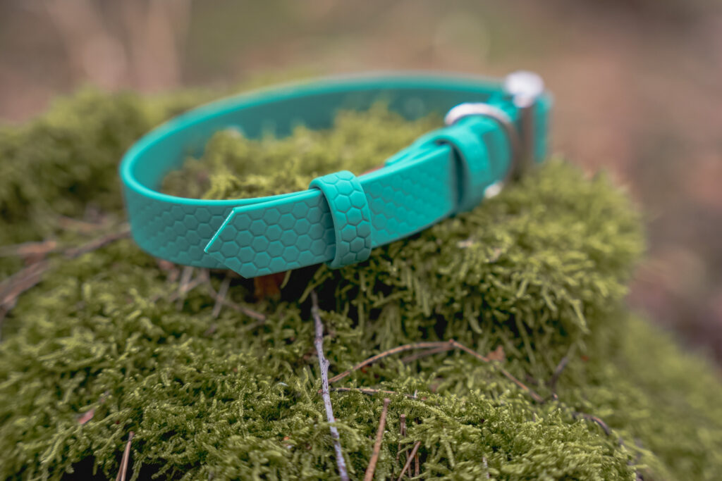 Obroża na sprzączkę HEXA – Forest