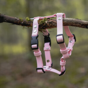Szelki Guard HEXA – Candy