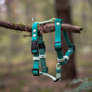 Szelki Guard HEXA – Forest