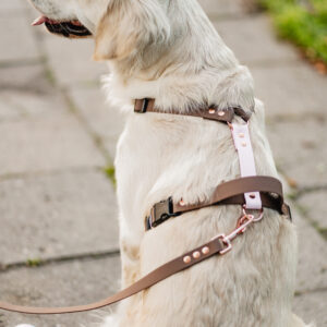 Szelki Guard HEXA – Brownie