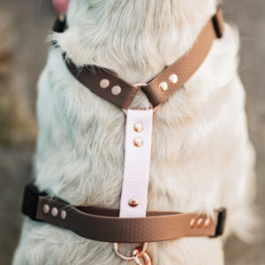 Szelki Guard HEXA – Brownie
