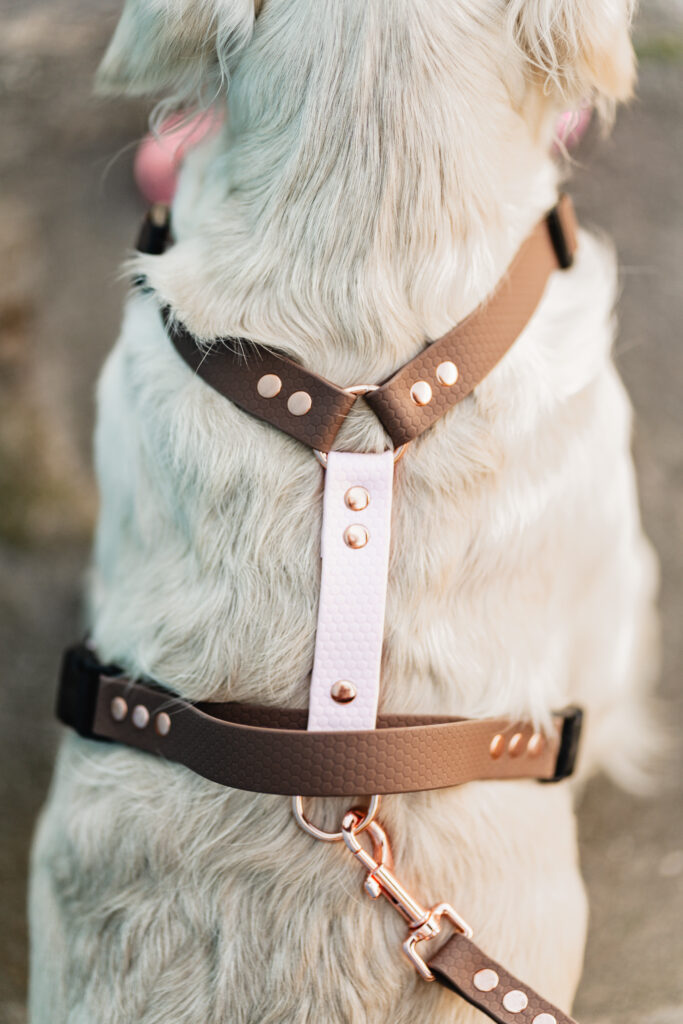 Szelki Guard HEXA – Brownie