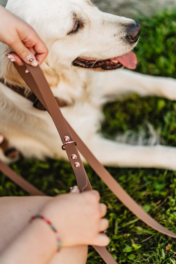 Smycz przepinana HEXA – Brownie