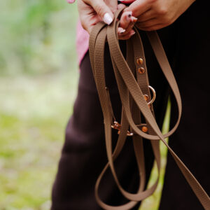 Smycz przepinana HEXA – Brownie