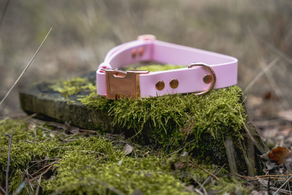 Obroża na klamrę BioThane® – Blush